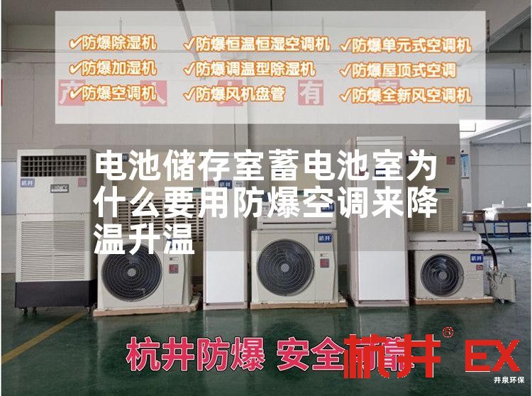 電池儲(chǔ)存室蓄電池室用防爆空調(diào)